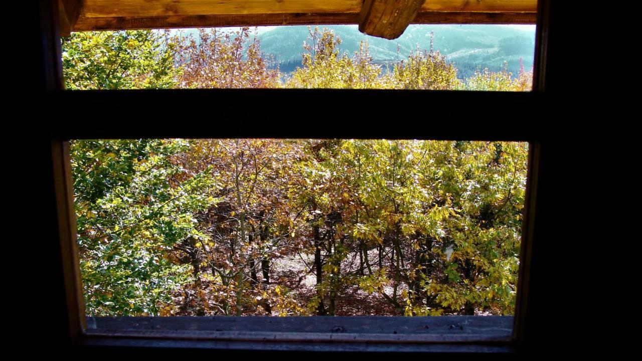 Albergue Mandoia Aterpetxea Arantzazu المظهر الخارجي الصورة
